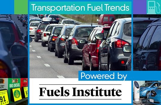 Jay Ricker Named Chairman of the Fuels Institute