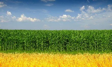 Growth Energy: U.S. Biofuels Help Drive Environmental Progress