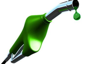 Food Prices Merrier as Biodiesel Production Grows