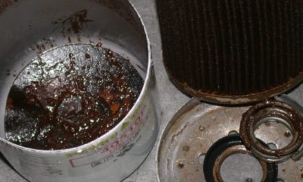 Vendor View: Bugs Cause Fuel System Damage, Part Two
