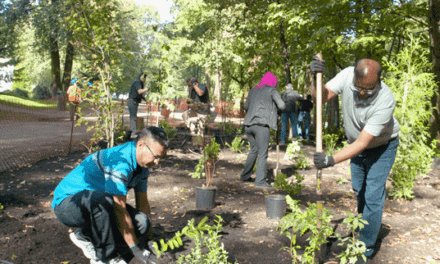 7-Eleven’s RENEW™ Program Help Plants 100,000 Trees