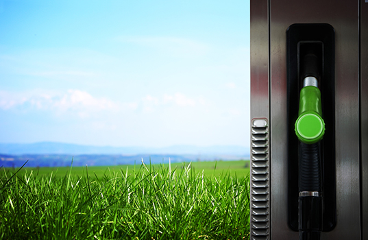 Exploring Biofuels—Conventional and Advanced (Part 1)