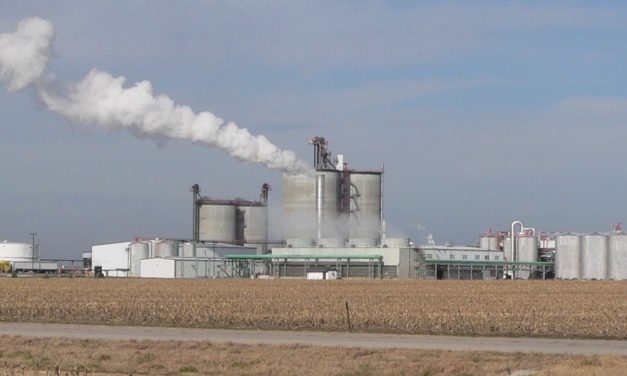 Fuel Ethanol Blend Rates Reached Record Summer Levels