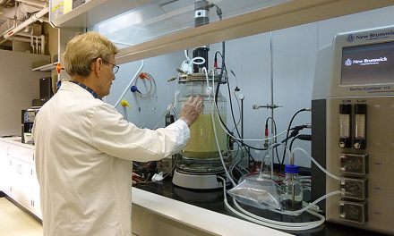 Purdue Process for Sustainable Hydrogen