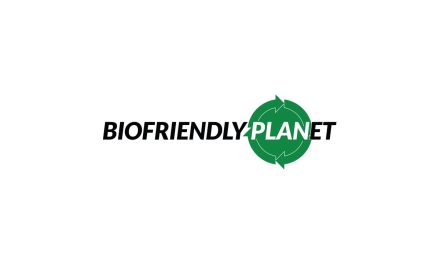 Biofriendly’s Green Plus Energy Transition Fuel
